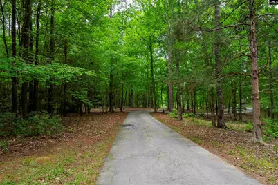 150 Four Foxes Lane, Chapin, SC 29036 - Photo 23