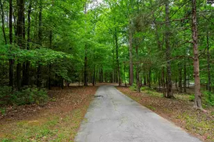150 Four Foxes Ln, Chapin, SC 29036 - Photo 23