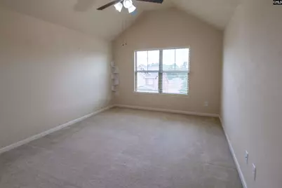 549 Everton Drive, Chapin, SC 29036 - Photo 25