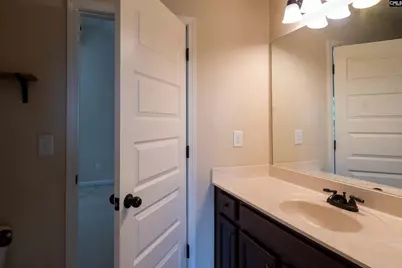 549 Everton Drive, Chapin, SC 29036 - Photo 41