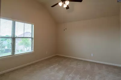 549 Everton Drive, Chapin, SC 29036 - Photo 13