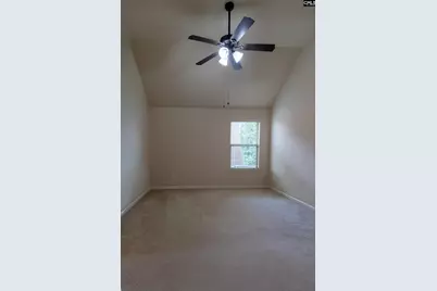 549 Everton Drive, Chapin, SC 29036 - Photo 7