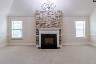 549 Everton Drive, Chapin, SC 29036 - Photo 9