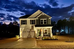 616 Rose Quartz Ln, Lexington, SC 29073 - Photo 3