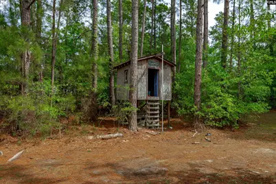 1571 Chestnut Road, Elgin, SC 29045 - Photo 33