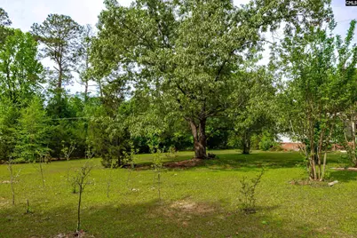 1571 Chestnut Road, Elgin, SC 29045 - Photo 35