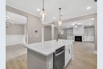 20 Elk Run Court, Chapin, SC 29036 - Photo 13