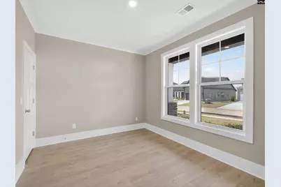 20 Elk Run Court, Chapin, SC 29036 - Photo 19