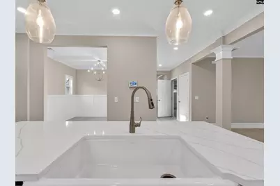 20 Elk Run Court, Chapin, SC 29036 - Photo 11