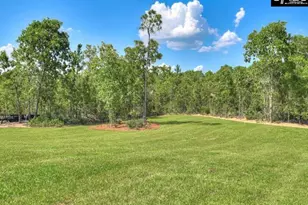 644 Old Charleston Rd, Pelion, SC 29123 - Photo 31