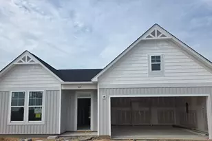 614 Old Charleston Rd, Pelion, SC 29123 - Photo 27