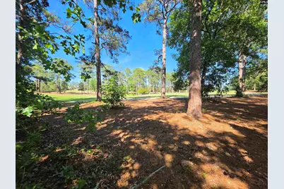 118 Creekside Cottage Court, Blythewood, SC 29016 - Photo 39