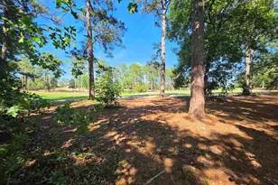 118 Creekside Cottage Ct, Blythewood, SC 29016 - Photo 39