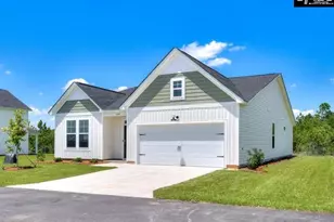 628 Old Charleston Rd, Pelion, SC 29123 - Photo 3