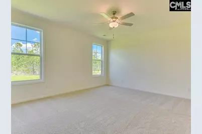 628 Old Charleston Road, Pelion, SC 29123 - Photo 19