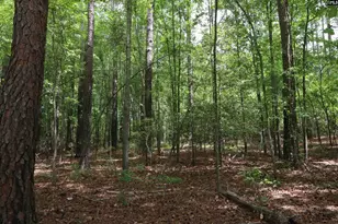 1091 Pine Grove Rd, Leesville, SC 29070 - Photo 1