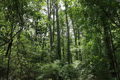 1091 Pine Grove Road, Leesville, SC 29070 - Photo 5