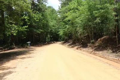 1091 Pine Grove Road, Leesville, SC 29070 - Photo 3