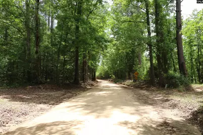 1091 Pine Grove Road, Leesville, SC 29070 - Photo 19