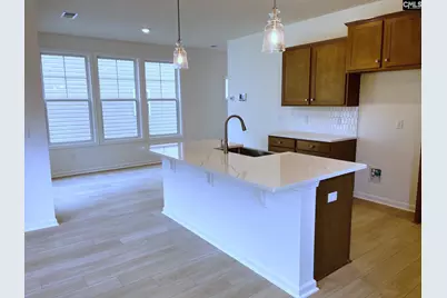 908 Fire Island Road, Blythewood, SC 29016 - Photo 13