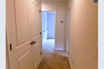 908 Fire Island Road, Blythewood, SC 29016 - Photo 33