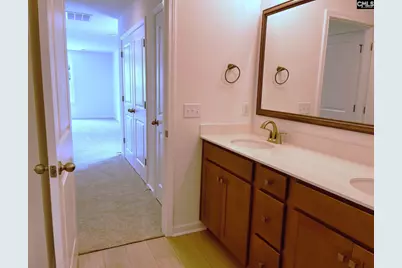908 Fire Island Road, Blythewood, SC 29016 - Photo 29