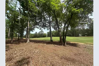 537 Misty Banks Drive #9, Chapin, SC 29036 - Photo 3