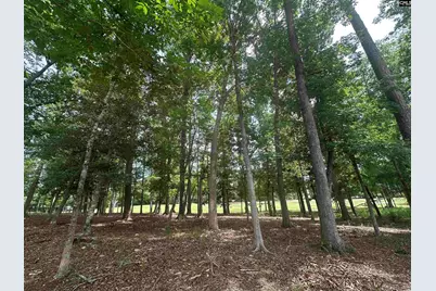 537 Misty Banks Drive #9, Chapin, SC 29036 - Photo 7
