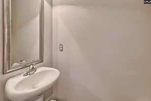 435 Crassula Dr, Lexington, SC 29073 - Photo 11