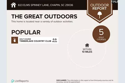 823 Elms Spinney Lane #105, Chapin, SC 29036 - Photo 13