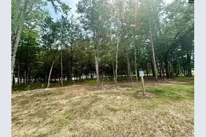 823 Elms Spinney Lane #105, Chapin, SC 29036 - Photo 3