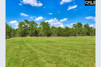632 Old Charleston Road, Pelion, SC 29123 - Photo 39