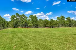 632 Old Charleston Rd, Pelion, SC 29123 - Photo 39
