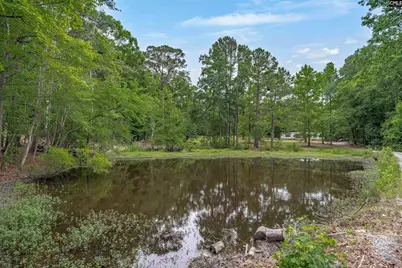 275 Walter Rawl Road, Lexington, SC 29072 - Photo 39