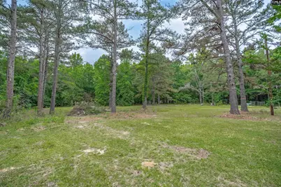 275 Walter Rawl Road, Lexington, SC 29072 - Photo 37