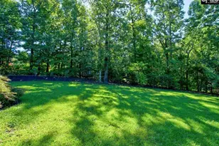 313 Belfair Rd, Irmo, SC 29063 - Photo 37