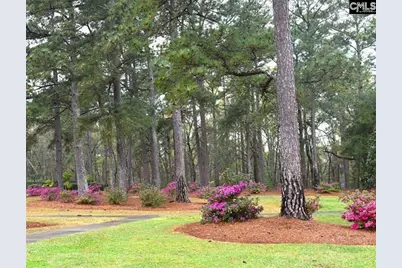 6530 Davidson Road L7, Columbia, SC 29209 - Photo 9