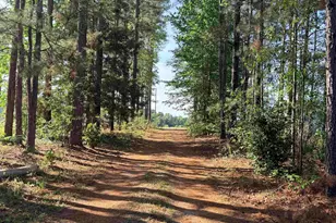 72 Favor Rd, Camden, SC 29020 - Photo 51