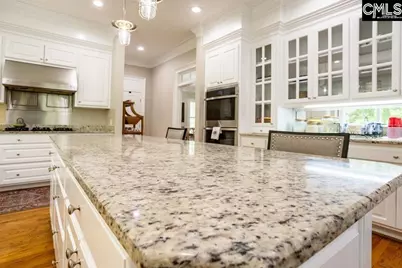 305 Redbay Road, Elgin, SC 29045 - Photo 43