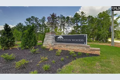 233 Livingston Woods Drive, Irmo, SC 29063 - Photo 41