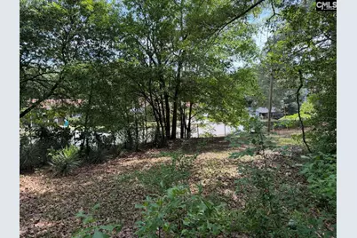 7441 Claudia Drive, Columbia, SC 29223 - Photo 7