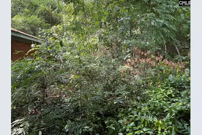 7441 Claudia Drive, Columbia, SC 29223 - Photo 19