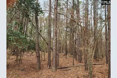 W On Giff Street, Newberry, SC 29108 - Photo 3