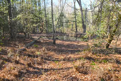 707 Mt Ebal Road, Batesburg, SC 29006 - Photo 9