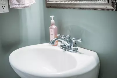 228 Congaree Mill Lane, West Columbia, SC 29169 - Photo 27