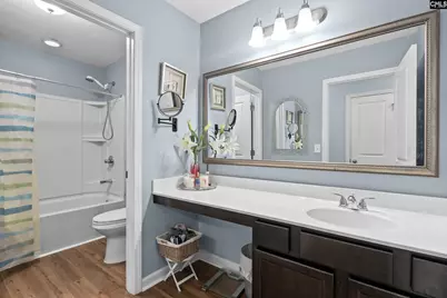 228 Congaree Mill Lane, West Columbia, SC 29169 - Photo 29