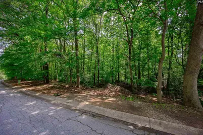 128 Holly Ridge Lane, West Columbia, SC 29169 - Photo 81