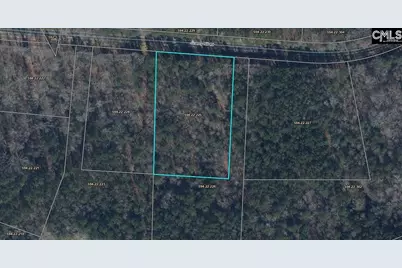 Lot 225 Stewart Landing Drive #225, Prosperity, SC 29127 - Photo 3