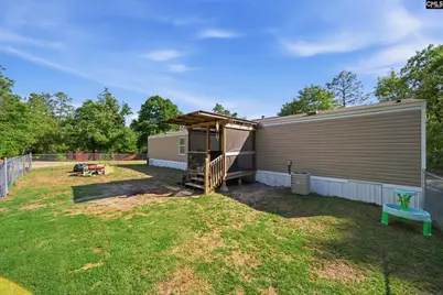 1729 Windy Wood Road, Pelion, SC 29123 - Photo 3