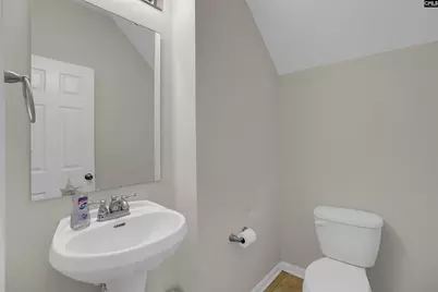 312 Baneberry Loop, Lexington, SC 29073 - Photo 13